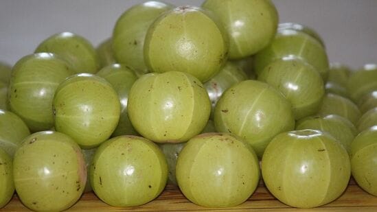 कोरफड आणि आवळ्याचे फायदे जाणून घेऊया. आणि दोघांपैकी कोणते तुमच्यासाठी फायदेशीर ठरेल ते पाहूया… कोरफड आणि आवळ्याचे फायदे जाणून घेऊया. आणि दोघांपैकी कोणते तुमच्यासाठी फायदेशीर ठरेल ते पाहूया…