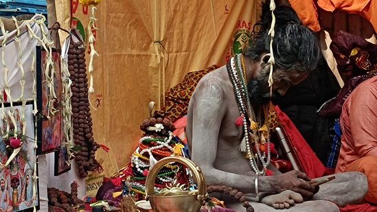 कुंभमेळ्यात नागा साधू आकर्षणाचा केंद्रबिंदू असतात. कारण प्रत्येक व्यक्तीला आपली जीवनशैली जाणून घ्यायची असते आणि नागा साधू मोठ्या संख्येने महाकुंभात सहभागी होतात. असे म्हटले जाते की, जेव्हा जेव्हा शाही स्नान होते तेव्हा साधू-संत प्रथम नदीत स्नान करतात. पण नागा साधू १६ नव्हे तर १७&nbsp;प्रकारचे श्रृंगार करतात, जाणून घेऊया कोण-कोणते ते.