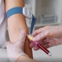 Why sex workers cannot donate blood Why sex workers cannot donate blood
