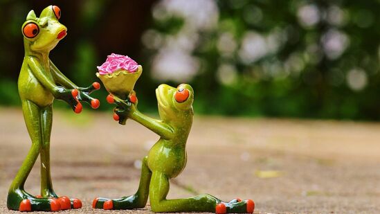 Propose Day 2025 : प्रपोज डेचा इतिहास आणि महत्त्व तुम्हाला माहिती आहे का?