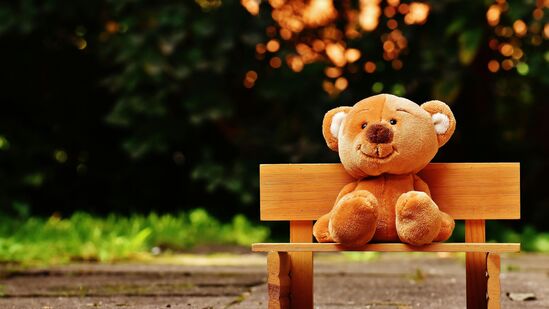 Celebrate Teddy day by gifting teddy bears to your beloved.