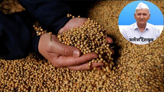 नाफेडच्या सोयाबीन खरेदीमध्ये भोंगळ कारभार चव्हाट्यावर