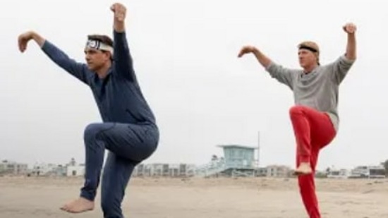 'कोब्रा काई'चे आतापर्यंतचे सर्व सीझन लोकांना खूप आवडले आहेत. आता 'कोब्रा काई' सीझन ६ भाग ३ देखील येणार आहे. कोब्रा काई जिवंत आहे आणि हा त्याचा शेवटचा सीझन असणार आहे. अंतिम विजेतेपदाच्या लढाईत, डॅनियल, जॉनी आणि संघ सेकाई तैकाईला संपवण्याची शेवटची संधी मिळवण्यासाठी सर्वकाही धोक्यात घालणार आहे. ही सीरिज १३ फेब्रुवारी रोजी नेटफ्लिक्सवर येत आहे.