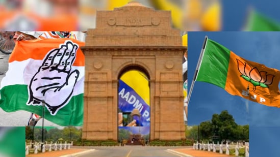 दिल्लीकरांना कोणते मुद्दे भावले?