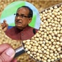 पणन विभागाकडून सोयाबीन खरेदीस नकार
