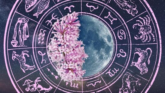 Today Horoscope 13 February 2025 In Marathi : आज शोभन योग आणि बालव करण राहील. आज माघ कृष्ण प्रतिपदा असून, गुरुवार आणि गुरुप्रतिपदा आहे. चंद्र सिंह राशीतून भ्रमण करत आहे. योग-संयोगात कसा जाईल आजचा दिवस! वाचा थोडक्यात राशीभविष्य!