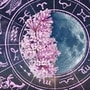 Today Horoscope 13 February 2025 In Marathi : आज शोभन योग आणि बालव करण राहील. आज माघ कृष्ण प्रतिपदा असून, गुरुवार आणि गुरुप्रतिपदा आहे. चंद्र सिंह राशीतून भ्रमण करत आहे. योग-संयोगात कसा जाईल आजचा दिवस! वाचा थोडक्यात राशीभविष्य! <p><strong>Today Horoscope 13 February 2025 In Marathi : </strong>आज शोभन योग आणि बालव करण राहील. आज माघ कृष्ण प्रतिपदा असून, गुरुवार आणि गुरुप्रतिपदा आहे. चंद्र सिंह राशीतून भ्रमण करत आहे. योग-संयोगात कसा जाईल आजचा दिवस! वाचा थोडक्यात राशीभविष्य!</p>