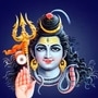 महाशिवरात्रीला शिवलिंगावर अर्पण करा ५ गोष्टी, महादेव होतील प्रसन्न महाशिवरात्रीला शिवलिंगावर अर्पण करा ५ गोष्टी, महादेव होतील प्रसन्न