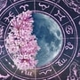 उद्या कसा असेल? नशिबाची मदत कोणाला मिळणार? पैसे कोणाला मिळतील? जाणून घ्या आठवड्यातील पहिला कार्यदिवस असलेल्या सोमवारचे राशीभविष्य. उद्या कसा असेल? नशिबाची मदत कोणाला मिळणार? पैसे कोणाला मिळतील? जाणून घ्या आठवड्यातील पहिला कार्यदिवस असलेल्या सोमवारचे राशीभविष्य. 