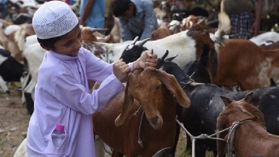 बकरी ईद (संग्रहित छायाचित्र)