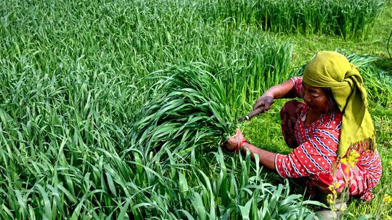 शेतकऱ्यांना निराश करणारा अर्थसंकल्प