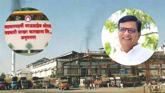 Maharashtra Election 2024 News LIVE: विधानसभेनंतर आता थोरातांचा कारखाना निवडणुकीत लागणार कस,  खताळ यांचे आव्हान कसं पेलणार?