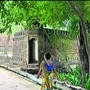 डिअर पार्क फोटो