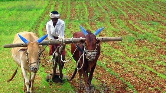 नमो शेतकरी महासन्मान निधी योजना