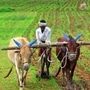 नमो शेतकरी महासन्मान निधी योजना