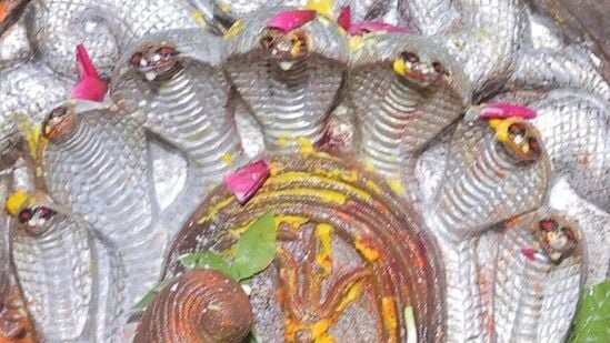 nag panchami 2025