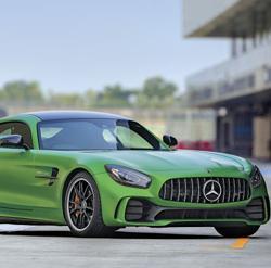 A close encounter with the Beast of the Green Hell. A close encounter with the Beast of the Green Hell.