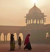 At the Jama Masjid in Old Delhi. We’ve been using plants like the sanseviera to clean our air since about 1,000 BC. Maybe it’s time to bring them home again.(AFP) At the Jama Masjid in Old Delhi. We’ve been using plants like the sanseviera to clean our air since about 1,000 BC. Maybe it’s time to bring them home again.(AFP)