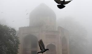The first fog of the season announced the arrival of winter in the national Capital on Wednesday. It came as a surprise as people, including the Met officials, were not expecting the dense fog to set in this quickly. The first fog of the season announced the arrival of winter in the national Capital on Wednesday. It came as a surprise as people, including the Met officials, were not expecting the dense fog to set in this quickly.