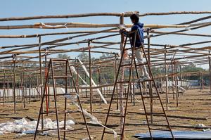 Large sheds are being erected on the grounds of Government Arts and Commerce College in Indore to make arrangements for a national ABVP meet to be held from December 24.(Shankar Mourya/HT file photo) Large sheds are being erected on the grounds of Government Arts and Commerce College in Indore to make arrangements for a national ABVP meet to be held from December 24.(Shankar Mourya/HT file photo)