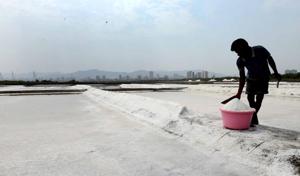 MMRDA survey says only 25 acres of the salt pan land or 0.5% of it is developable without any hurdles.(HT Pic for Representation) MMRDA survey says only 25 acres of the salt pan land or 0.5% of it is developable without any hurdles.(HT Pic for Representation)