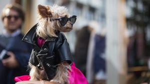 Little Lola Sunshine wears a leather jacket, black sunglasses, and a pink dress outside the Valentino show at the Spring/Summer 2017 Paris Fashion Week.(Melodie Jeng) Little Lola Sunshine wears a leather jacket, black sunglasses, and a pink dress outside the Valentino show at the Spring/Summer 2017 Paris Fashion Week.(Melodie Jeng)