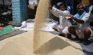 Farmers have been unable to sell their produce for the past one month due to the demonetisation and lack of cash among the traders.(HT photo)