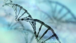 Several gene sequencing projects are coming up across the world that are storing commercially valuable gene sequence information in online databases.(Getty Images/iStockphoto) Several gene sequencing projects are coming up across the world that are storing commercially valuable gene sequence information in online databases.(Getty Images/iStockphoto)