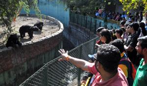 Zoo curator explaining the behaviour of bears to kids during Young Zookeepers' workshop in Indore on Sunday.(Shankar Mourya/ HT photo)