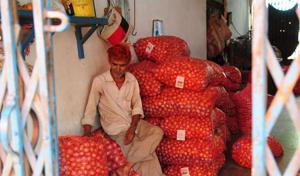 Prices are holding at around Rs 6 per kg in Indore and neighbouring places at present.(HT file photo for representation)