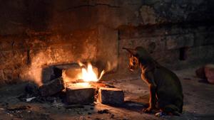 The chill, which gave Kolkatans a miss on Christmas Day, is unlikely to return even on New Year day of 2017, met officials have predicted.(Ashok Nath Dey/HT PHOTO) The chill, which gave Kolkatans a miss on Christmas Day, is unlikely to return even on New Year day of 2017, met officials have predicted.(Ashok Nath Dey/HT PHOTO)