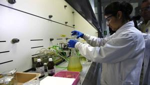The lab can assist the MCG in expanding their dedicated street food vending zones across the city.(Representative image) The lab can assist the MCG in expanding their dedicated street food vending zones across the city.(Representative image)