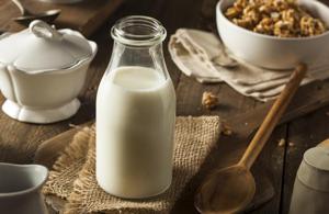 The popularity of consuming cow’s milk might have fallen considerably in the UK and the US in the last three decades, but drinking it first thing in the morning or through the day is as popular in India as ever.(Shutterstock) The popularity of consuming cow’s milk might have fallen considerably in the UK and the US in the last three decades, but drinking it first thing in the morning or through the day is as popular in India as ever.(Shutterstock)