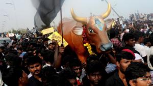 Protesters carry a replica of a bull as they shout slogans during a demonstration against the ban on the Jallikattu, the bull-taming spor, in Chennai on January 20, 2017.(AFP) Protesters carry a replica of a bull as they shout slogans during a demonstration against the ban on the Jallikattu, the bull-taming spor, in Chennai on January 20, 2017.(AFP)