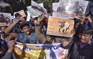 Supporters of Jallikattu, a bull taming sport in Tamil Nadu, protest against a Supreme Court ban on it at Jantar-Mantar in New Delhi.(Ravi Choudhary/HT PHOTO) Supporters of Jallikattu, a bull taming sport in Tamil Nadu, protest against a Supreme Court ban on it at Jantar-Mantar in New Delhi.(Ravi Choudhary/HT PHOTO)
