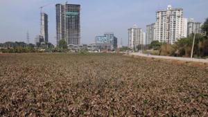 The MCG has claimed that 464 acres ‘illegally’ encroached upon in Gwal Phari falls under its jurisdiction.(HT File) The MCG has claimed that 464 acres ‘illegally’ encroached upon in Gwal Phari falls under its jurisdiction.(HT File)