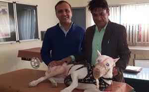 Associate professor Dr Arun Anand and pet owner Sanjeev Kumar (right) with the dog, Eva, in Ludhiana on Thursday.(HT Photo)