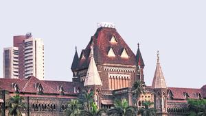 The court has asked the government to identify the number of people and horses affected by the order and to list them in its affidavit(HT File Photo) The court has asked the government to identify the number of people and horses affected by the order and to list them in its affidavit(HT File Photo)