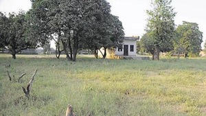 The state has around 1.5 lakh acres of village common land, a large part of which is used for cultivation.(HT File Photo) The state has around 1.5 lakh acres of village common land, a large part of which is used for cultivation.(HT File Photo)