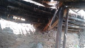 The ceiling of a house (above) completely eaten up by termites in Lambari.(HT Photo) The ceiling of a house (above) completely eaten up by termites in Lambari.(HT Photo)