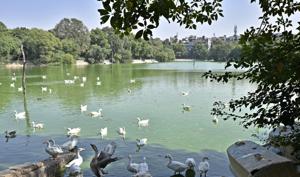 The woman was reportedly returning home with a cousin after dinner at a restaurant in Hauz Khas Village, when she was taken to Deer Park (in picture) by a man who offered to show her a lake.(Arun Sharma/HT Photo) The woman was reportedly returning home with a cousin after dinner at a restaurant in Hauz Khas Village, when she was taken to Deer Park (in picture) by a man who offered to show her a lake.(Arun Sharma/HT Photo)