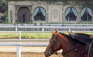 There is a table by the French windows that’s perfect for a rum and cola at Gallops when it’s raining.(Kunal Patil/HT Photo) There is a table by the French windows that’s perfect for a rum and cola at Gallops when it’s raining.(Kunal Patil/HT Photo)