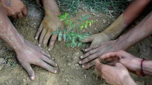 Gautam Budh Nagar residents will take a pledge to conserve the environment.(Sunil Ghosh/HT File Photo) Gautam Budh Nagar residents will take a pledge to conserve the environment.(Sunil Ghosh/HT File Photo)