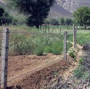 The Rajasthan High Court stay order has stayed the state chief forest conservator’s order and restored land rights of residents of core areas of the desert national park.(Representative picture/HT File Photo.) The Rajasthan High Court stay order has stayed the state chief forest conservator’s order and restored land rights of residents of core areas of the desert national park.(Representative picture/HT File Photo.)