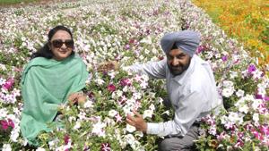 Avtar Singh Dhindsa, a farmer at Gabrian village in Patiala on Friday.(Bharat Bhushan /HT) Avtar Singh Dhindsa, a farmer at Gabrian village in Patiala on Friday.(Bharat Bhushan /HT)