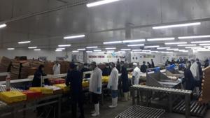 The Aligarh-based Frigerio Conserva Allana Limited is one of the country’s biggest slaughterhouse-cum-meat processing units, contributing to a huge industry that provides livelihood to an estimated 25 lakh people directly or indirectly.(HT photo/Gulam Jilani) The Aligarh-based Frigerio Conserva Allana Limited is one of the country’s biggest slaughterhouse-cum-meat processing units, contributing to a huge industry that provides livelihood to an estimated 25 lakh people directly or indirectly.(HT photo/Gulam Jilani)