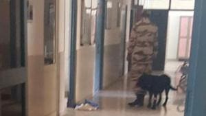 The PM’s security dog being taken away from the GADVASU hospital in Ludhiana on Friday, March 31.(HT Photo) The PM’s security dog being taken away from the GADVASU hospital in Ludhiana on Friday, March 31.(HT Photo)