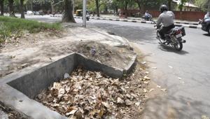 Leaves blocking a stormwater drain in Chandigarh.(HT Photo)
