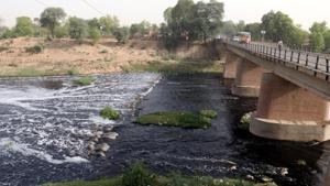 Ghaggar river in Sardulgarh town of Mansa district.(Sanjeev Kumar/HT photo) Ghaggar river in Sardulgarh town of Mansa district.(Sanjeev Kumar/HT photo)
