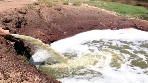 Untreated sewage flowing into the Ghaggar on the outskirts of Sardulgarh town in Mansa district.(Sanjeev Kumar/HT Photo) Untreated sewage flowing into the Ghaggar on the outskirts of Sardulgarh town in Mansa district.(Sanjeev Kumar/HT Photo)